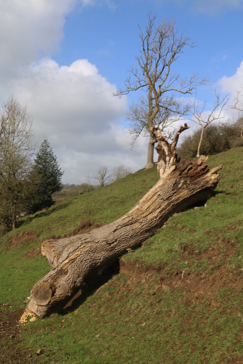 MAW Holmes tweet media