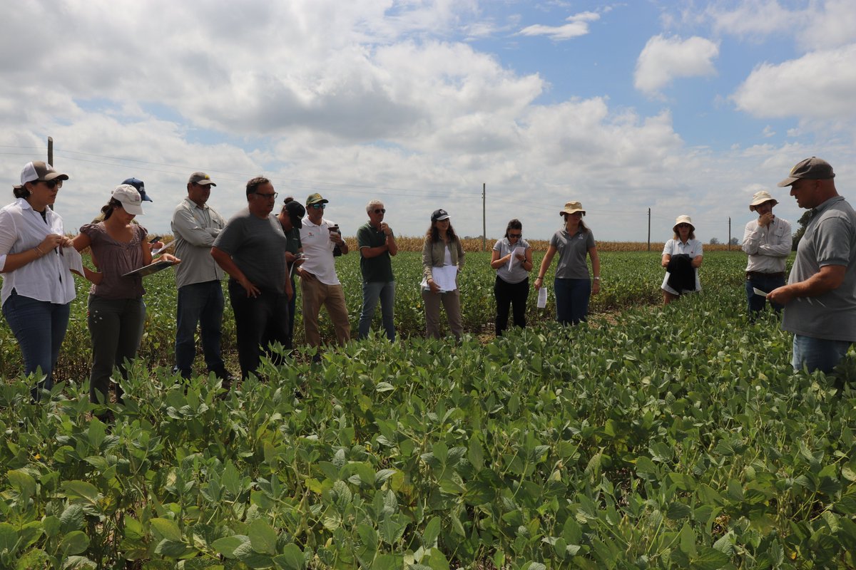 INTA Santa Fe tweet media