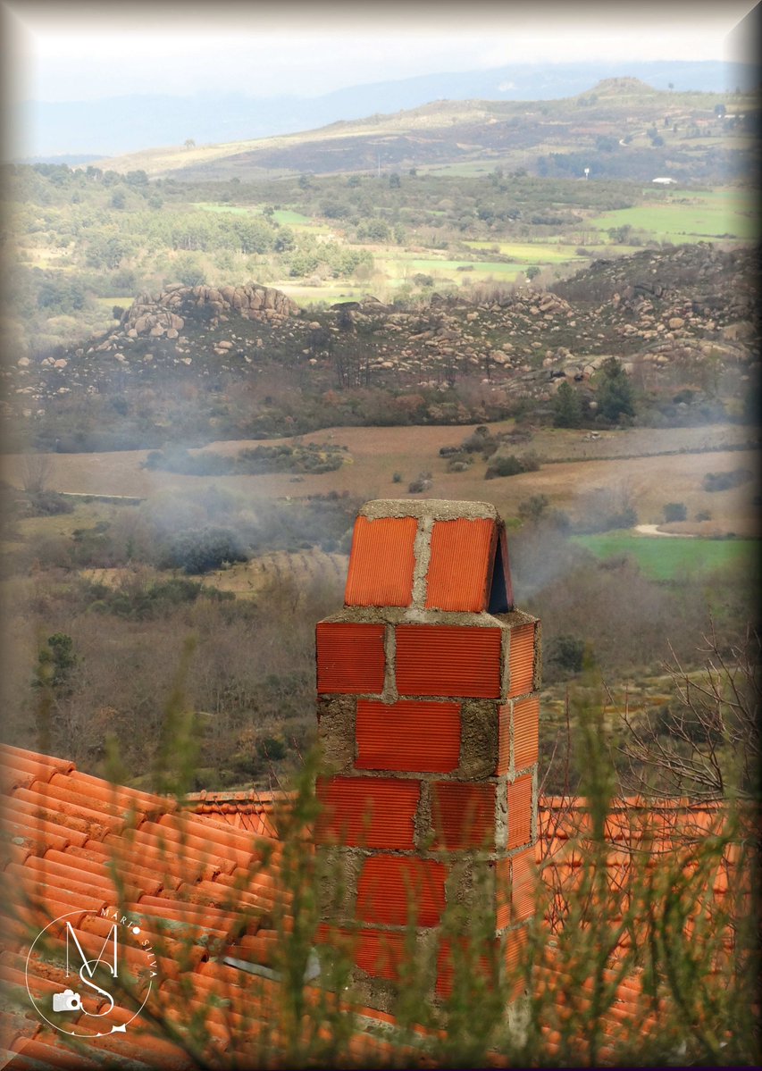 Mário Silva - Fotografia & Pintura tweet media