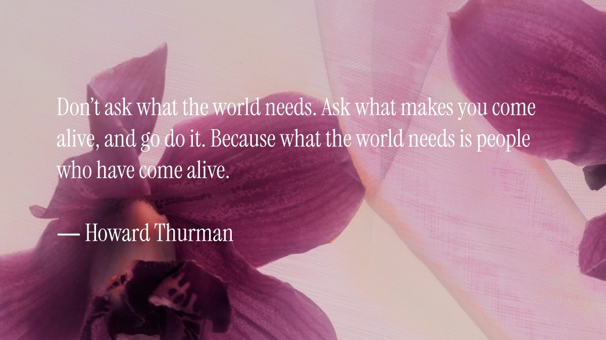 An is a monkey tweet media