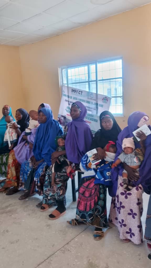 Kano Impact Project tweet media