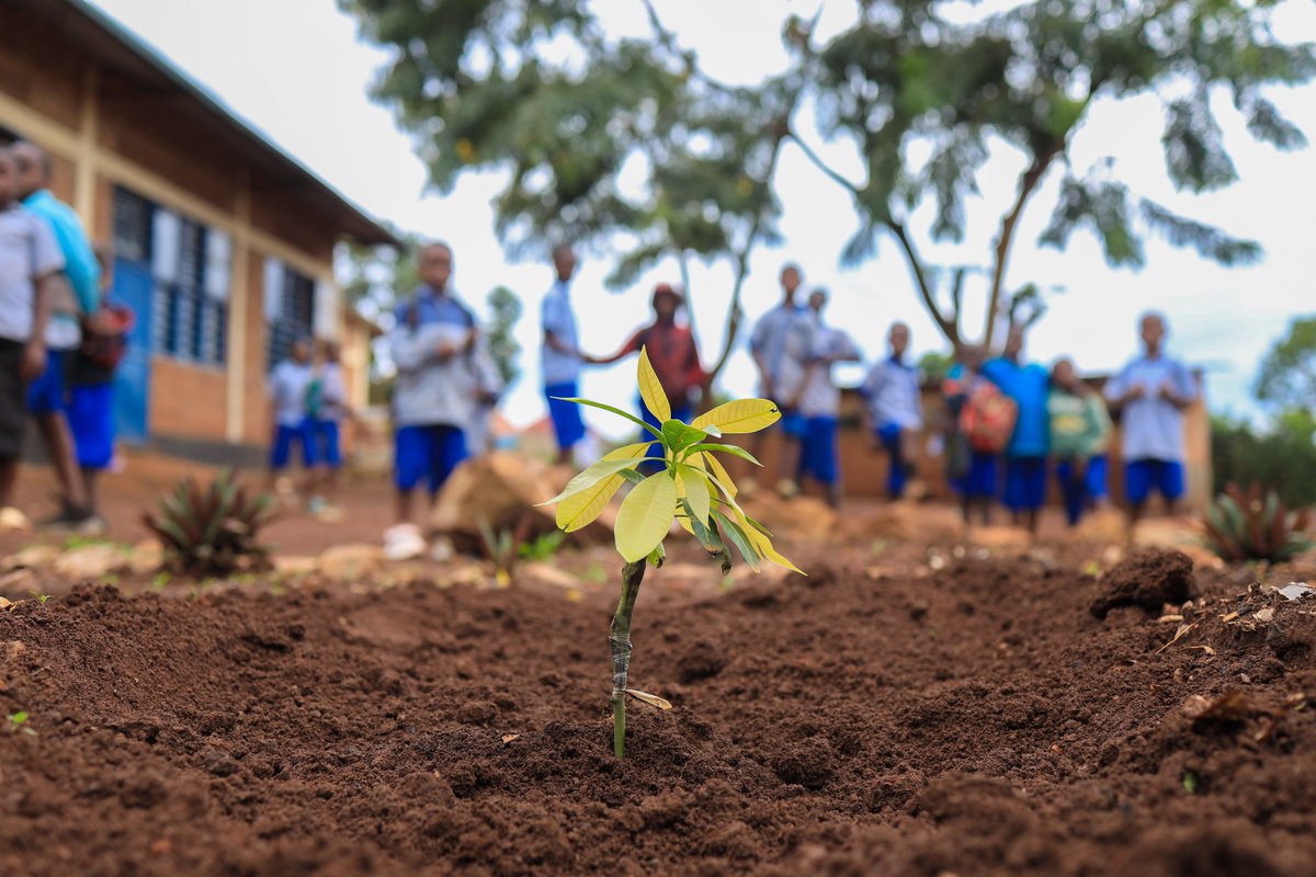 Inspire, Educate and Empower Rwanda (@iee_rw) / Posts / X