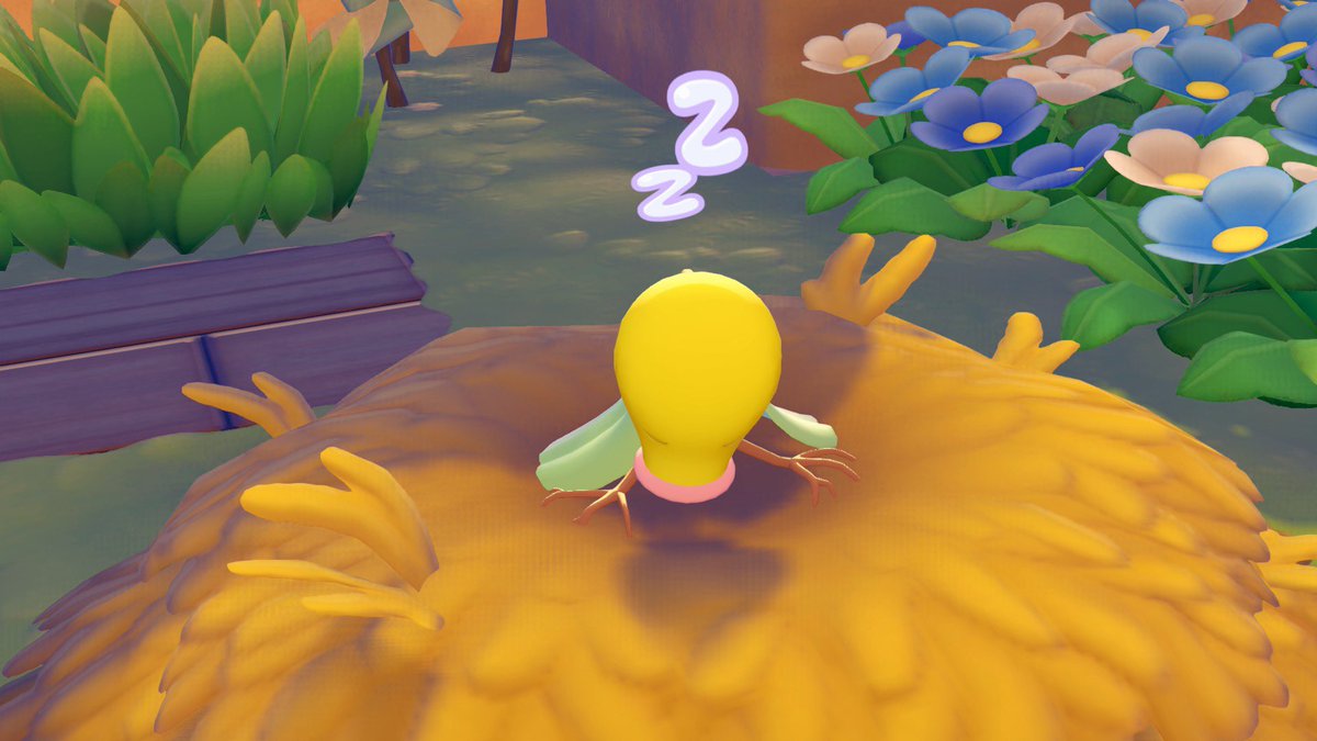 Erin 🐸 tweet media