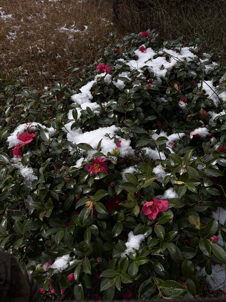 # (@06_hydro) on Twitter photo 