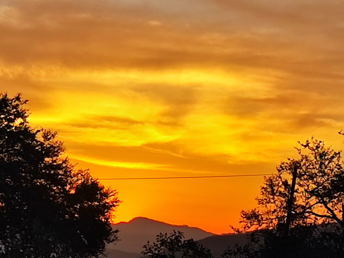 VMMR_72's tweet photo. El ser humano q ama se viste d colores vivos, es decir, comprend q el cuerpo físico es vestido del alma y espíritu, la palabra es vestido del pensamiento y así, q todo vestido cubre objetos o seres, por ello, analiza y sintetiza a quien viste la forma, color, aroma...d las flores https://t.co/Stcyh6bx8w