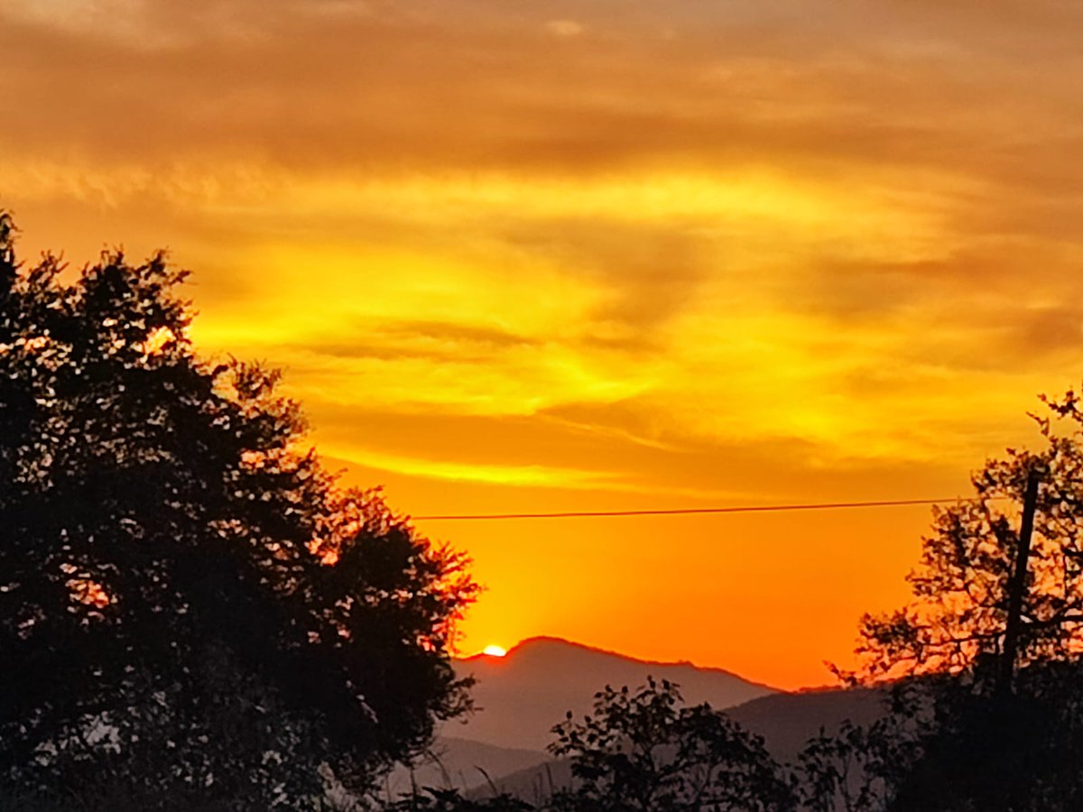VMMR_72's tweet photo. El ser humano q ama se viste d colores vivos, es decir, comprend q el cuerpo físico es vestido del alma y espíritu, la palabra es vestido del pensamiento y así, q todo vestido cubre objetos o seres, por ello, analiza y sintetiza a quien viste la forma, color, aroma...d las flores https://t.co/Stcyh6bx8w