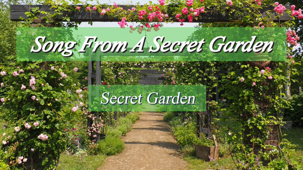 usapapa ⋆̥*̥̥⋆̥🎺🌿 🥩🥦🤟 🌸 🎺🍎💫 🌸🎶🌱🎶 🐰 tweet media