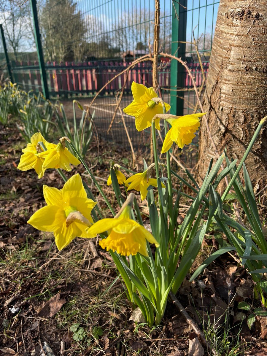 Old Mill Primary tweet media