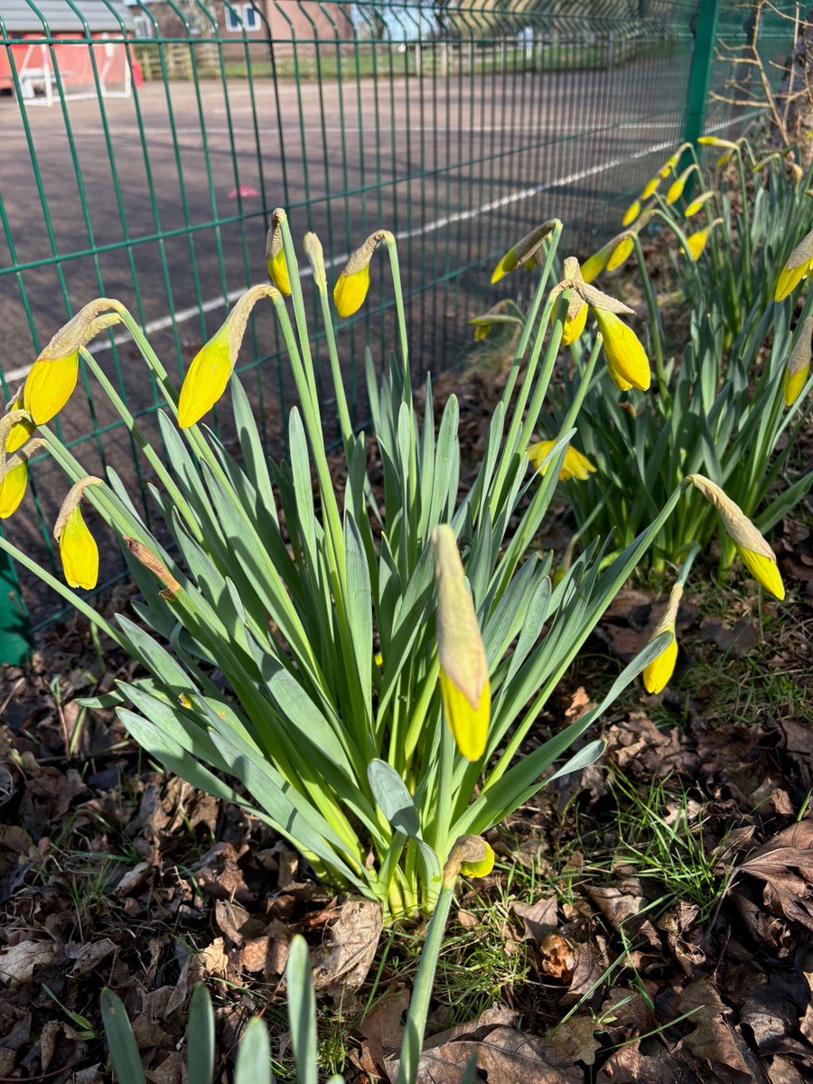 Old Mill Primary tweet media