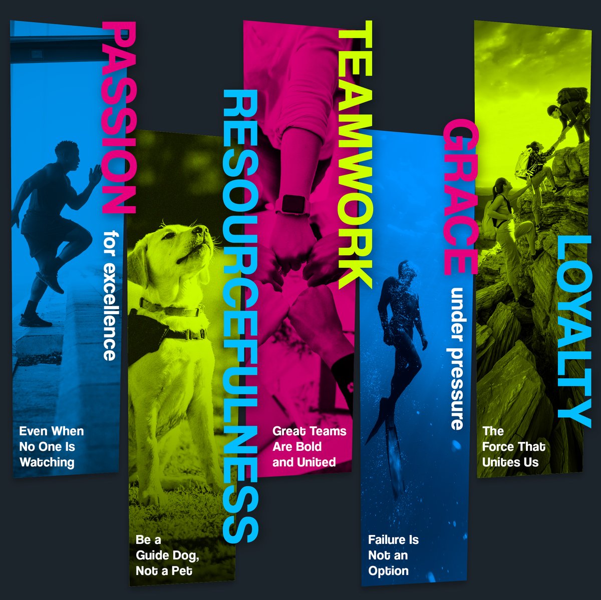 HEALTHCARE SUCCESS tweet media