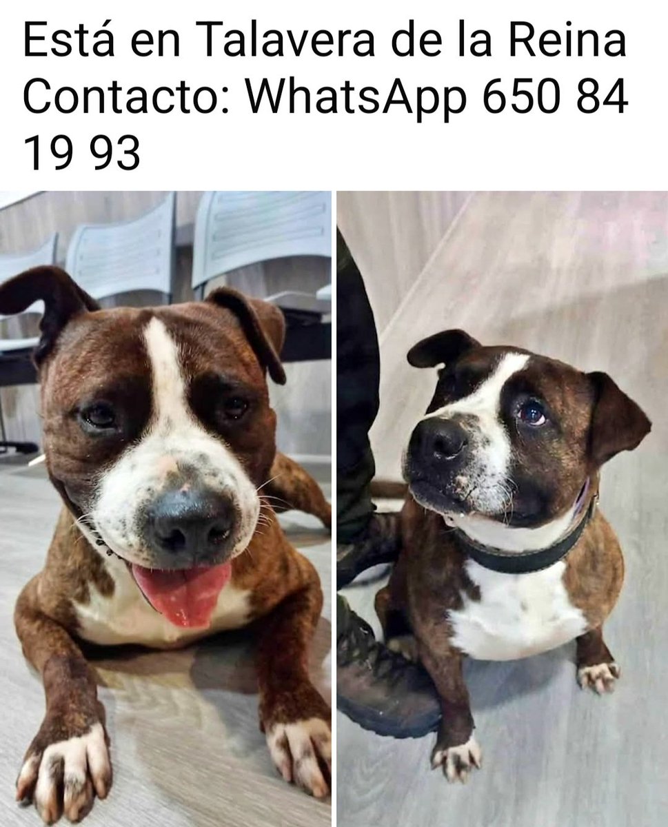 Lola tweet media