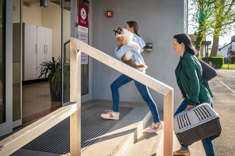 Veterinary Practice News tweet media