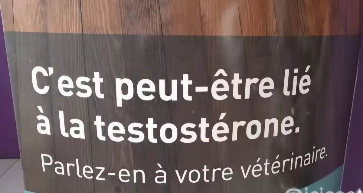 Sévaria 🌻 tweet media