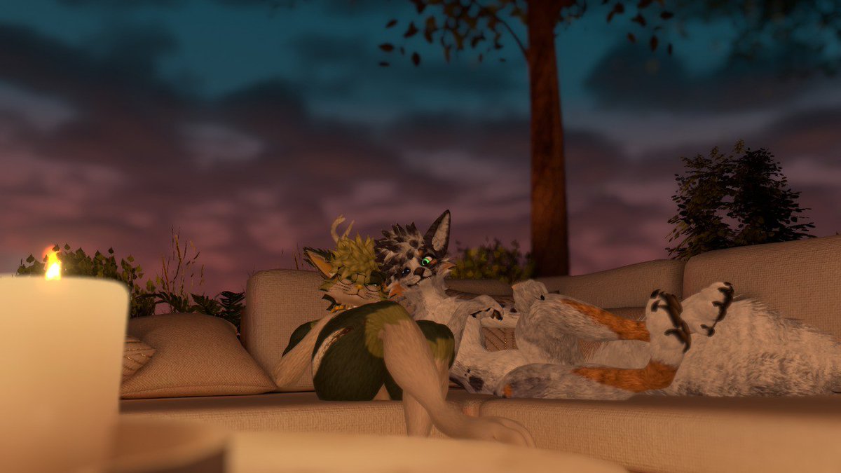 Dylan 1 🔜Confuzzled tweet media