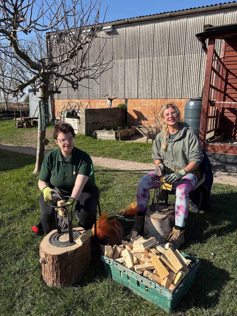 TillyTractor tweet media