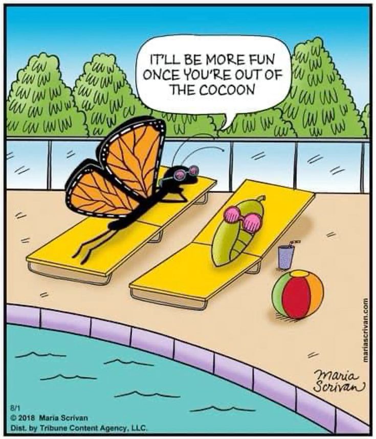 KnockFirstShop's tweet image. 🤣🤣🤣🤣 #SexShop #WashingtonCityPaper #MyDCCool #WashingtonDC #AdultToys #BestOf #humpdaywednesday #humpdaymotivation #wednesdaymotivation #WednesdayWisdom #kinkcommunity #unicorn #unicornsarereal #butterflies