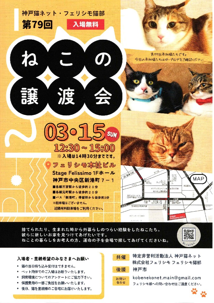 3/15 譲渡会の参加猫
📛けいちゃん　２歳　オス
他の猫とすぐに仲良くなれます。
兄弟は里親さんが決まったので「けいちゃん」にも良いご縁があると信じています。
みんなが会いに来てくれると嬉しいです。