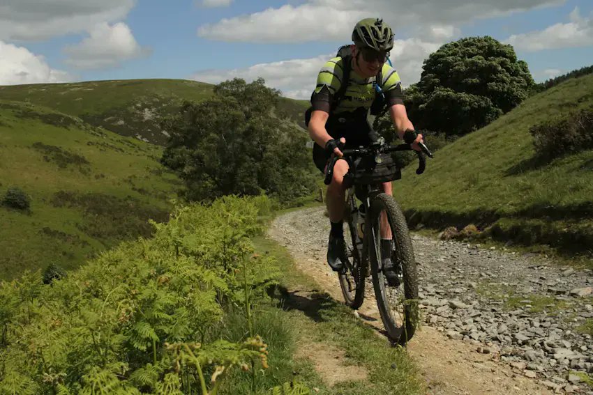 Holohan Coaching tweet media