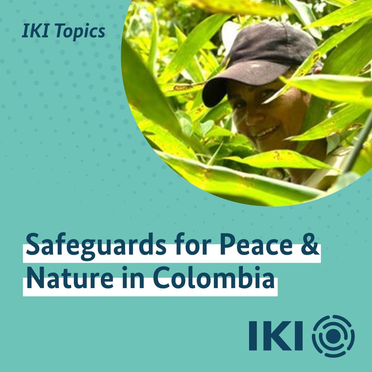 IKI Germany tweet media