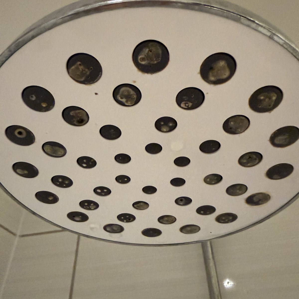 𝓓𝓐𝓩𝓩𝓐 tweet media