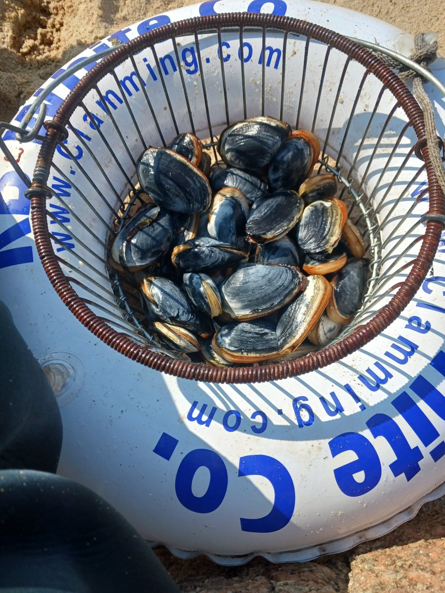 The General tweet media