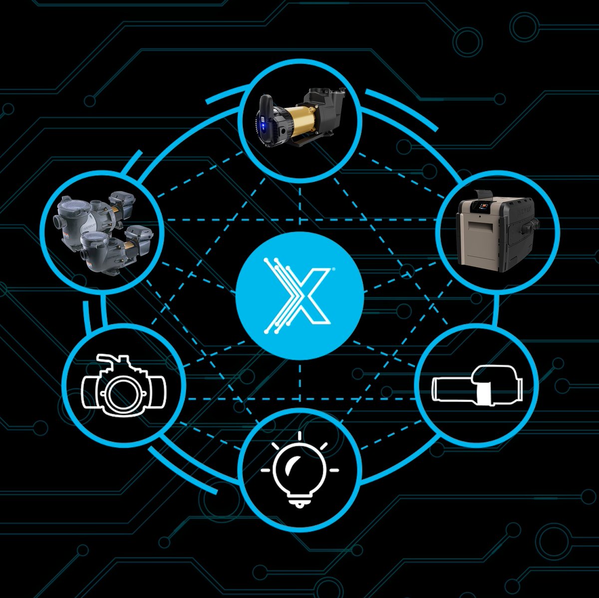 Hayward Pool tweet media