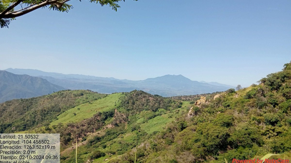 JoseOsio1168463's tweet photo. Dimitra’s Nayarit High‑Integrity Carbon Credits project hit a milestone with Verra’s ARR methodology now live for public comment. Blockchain data + digital monitoring boost credibility and cut risk. View: https://t.co/JQsmF537Ru  #DMTR #DMTRTeam #dimitratech #DMTRinAction #CONANP https://t.co/apl8fhPcE8