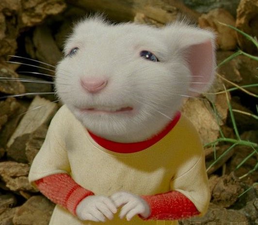 frank langdon and dennis whitaker