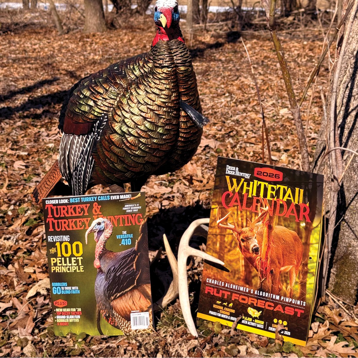 Turkey & Turkey Hunting tweet media