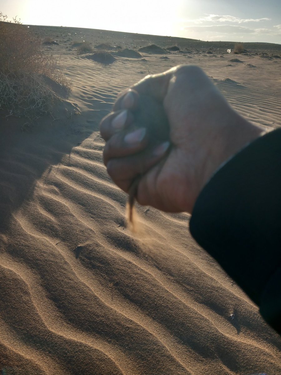 Ali Metila |🐉| tweet media