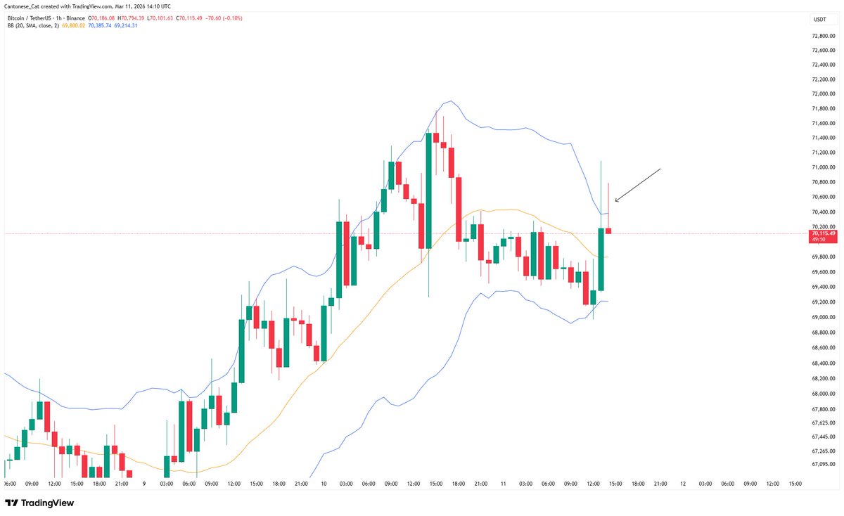 Cantonese Cat 🐱🐈 tweet media