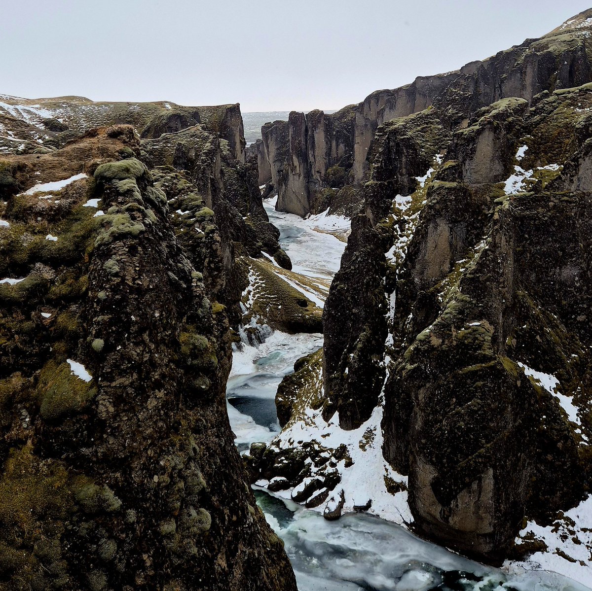 Filo_Rossi's tweet photo. Fjaðrárgljúfur, Iceland 🇮🇸 https://t.co/yEddVE6XVj