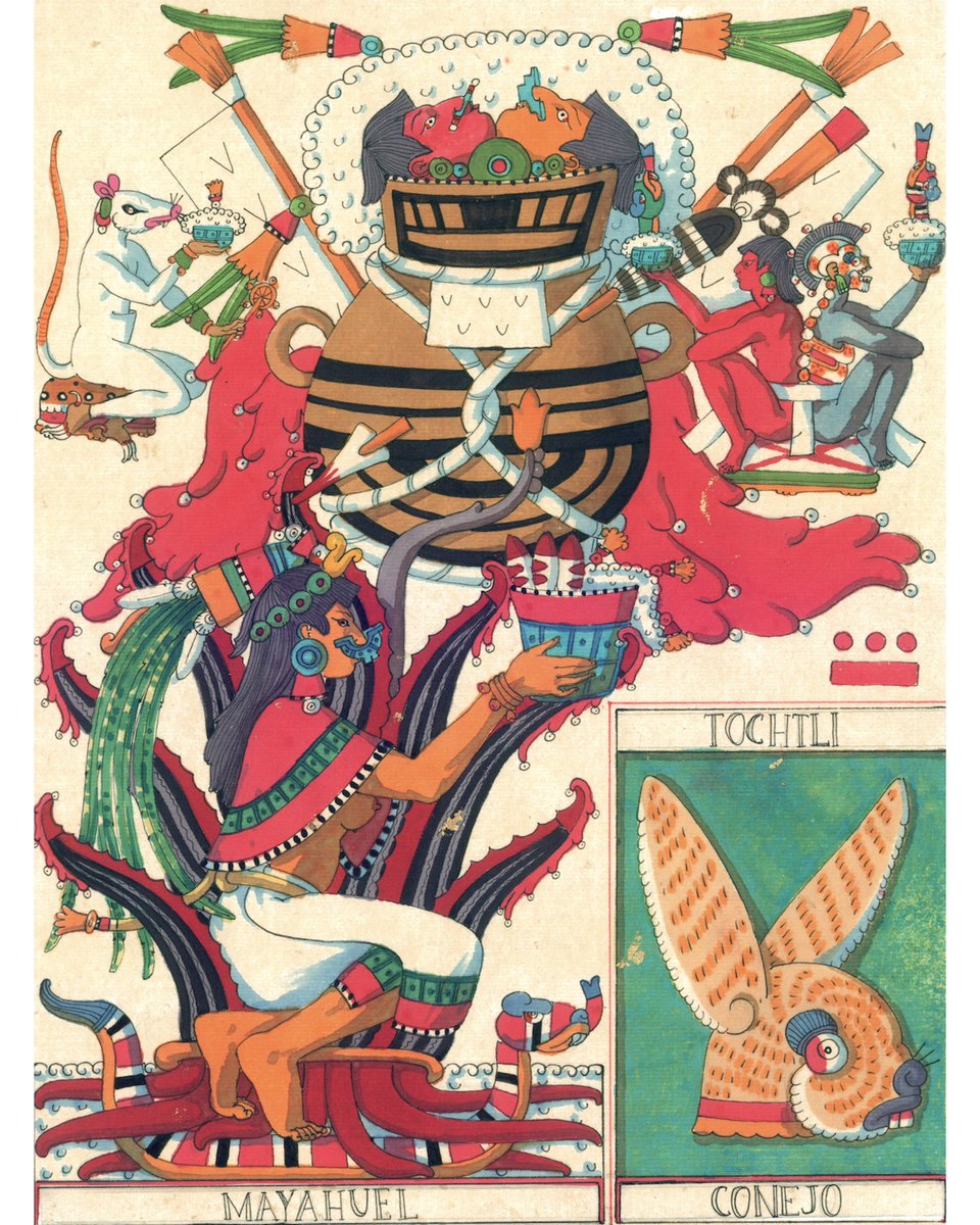 MiCorazonMexica's tweet photo. “I am four hundred. I am innumerable.”

Today in the *Tonalpohualli* arrives **9 Rabbit**, the day of Mayahuel, Lady of the maguey. This page is from my painted codex *Tonalamatl Cenyollotl*, where I explore the nature of the Rabbit days through the symbolism of pulque and the Centzontotochtin, the Four Hundred Rabbits, the innumerable spirits of intoxication.

At the center sits Mayahuel enthroned upon the maguey, the sacred plant whose gifts sustain life. From it come drink, food, fiber, and shelter. Above her rises the great pulque vessel, the **octecomatl**, from whose foam emerge Xochiquetzal and Piltzintecuhtli, linking the drink to love, fertility, and desire. Nearby the tlacuache drinks pulque and makes music in the night, while a living man sits back to back with **Mictlantecuhtli**, Lord of Death, sharing a single spine.

Pulque contains both joy and ruin. The Rabbit days remind us that intoxication brings song, dance, and healing—but also the shadow of destruction if its sweetness is abused.

This image forms part of my ongoing codex painting project exploring the sacred calendar and the Teteo who govern the days.

If you’d like to explore your own **tonalli**, I offer readings here:
[https://t.co/lsZmqMpn1Q)
