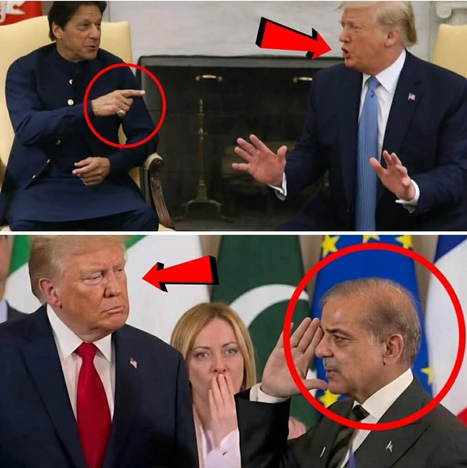 Sabee Kazmi tweet media