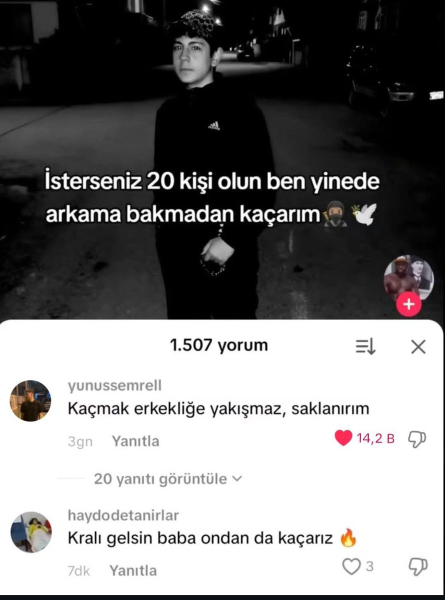 Kadir Alkan tweet media
