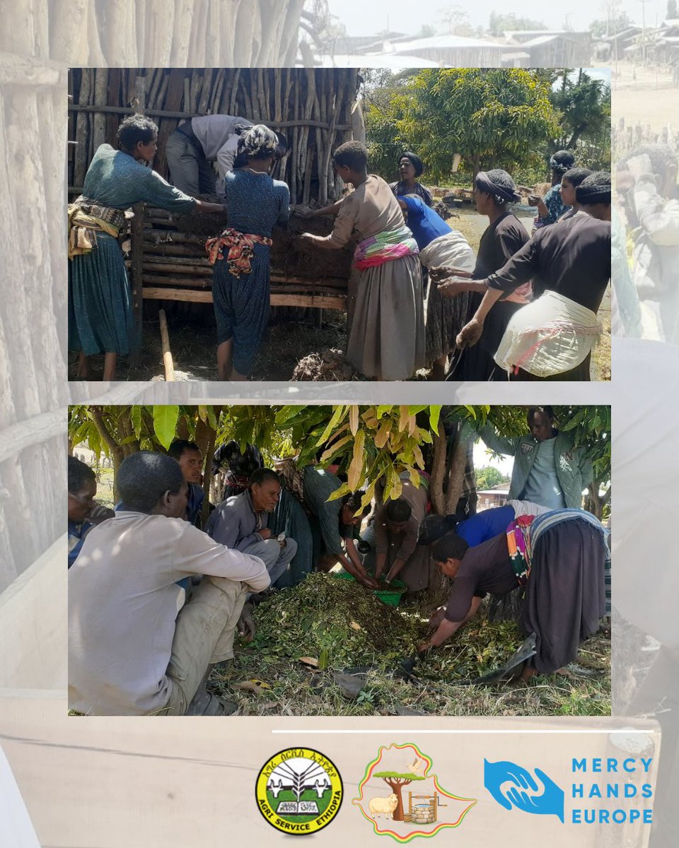 Mercy Hands Europe tweet media