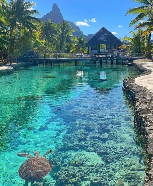 Bora Bora