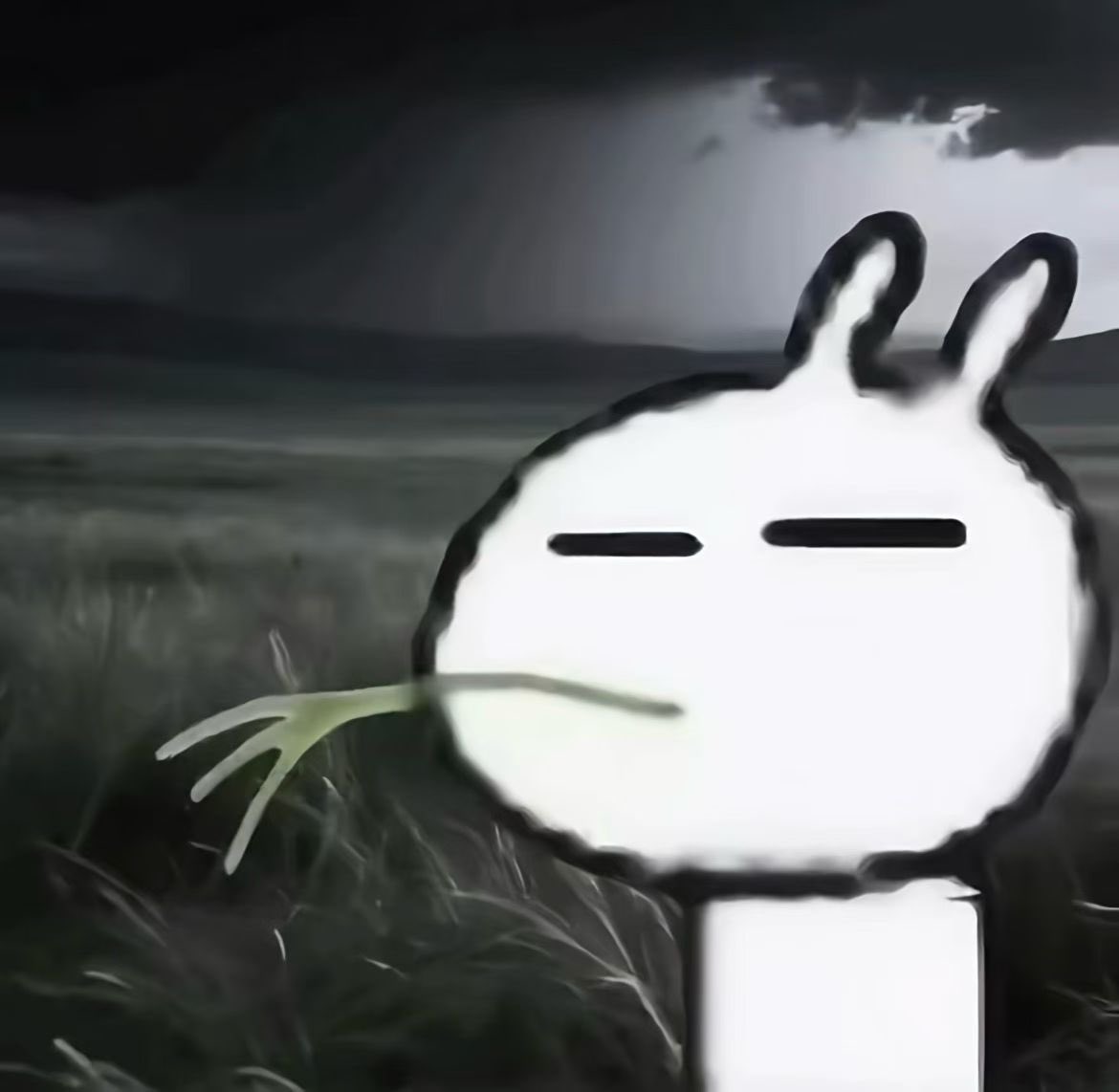 pa cke to m tweet media