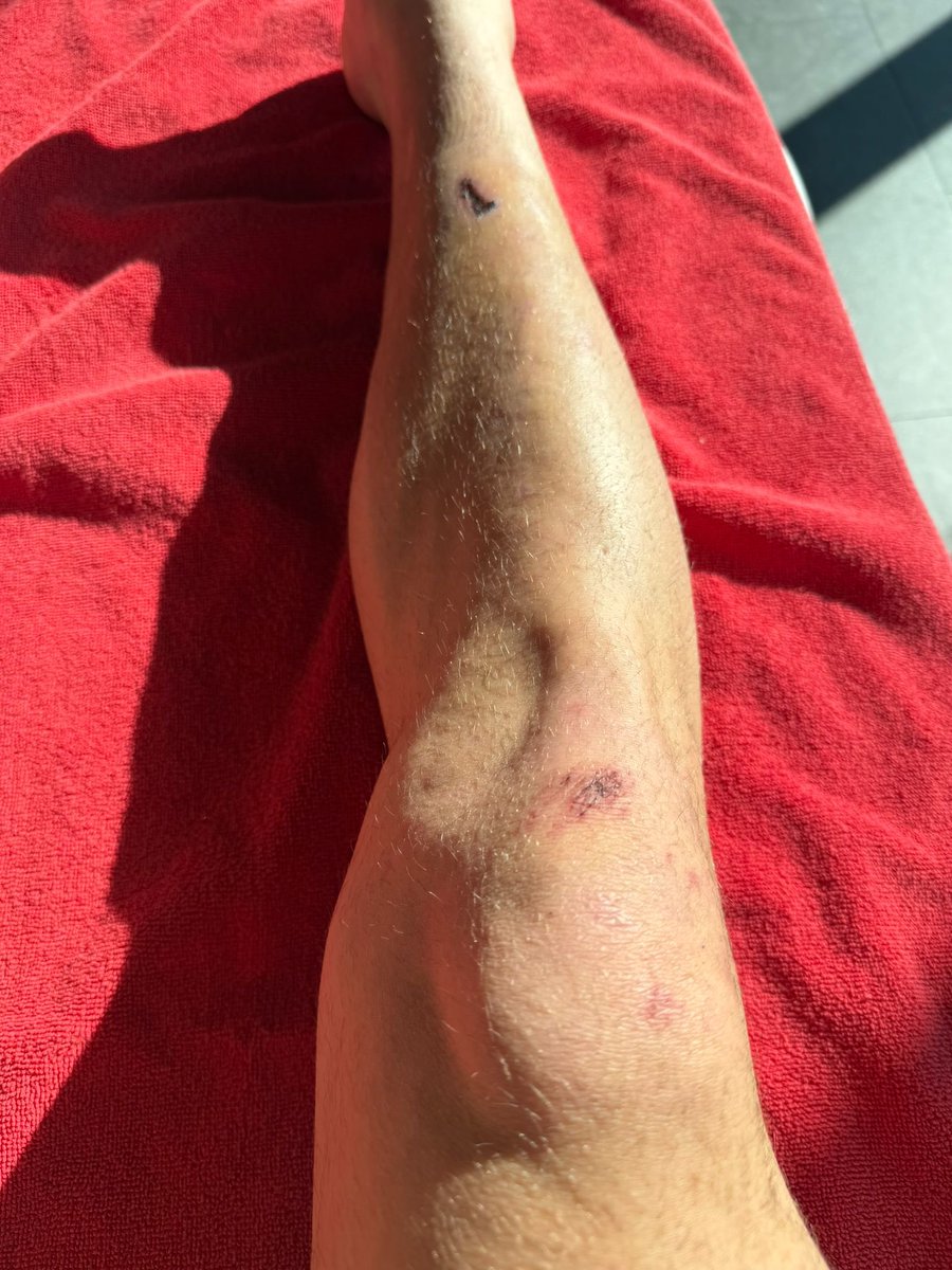 Galatasaray SK tweet media