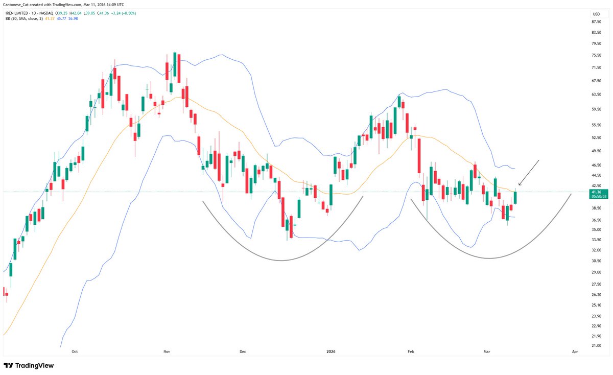 Cantonese Cat 🐱🐈 tweet media