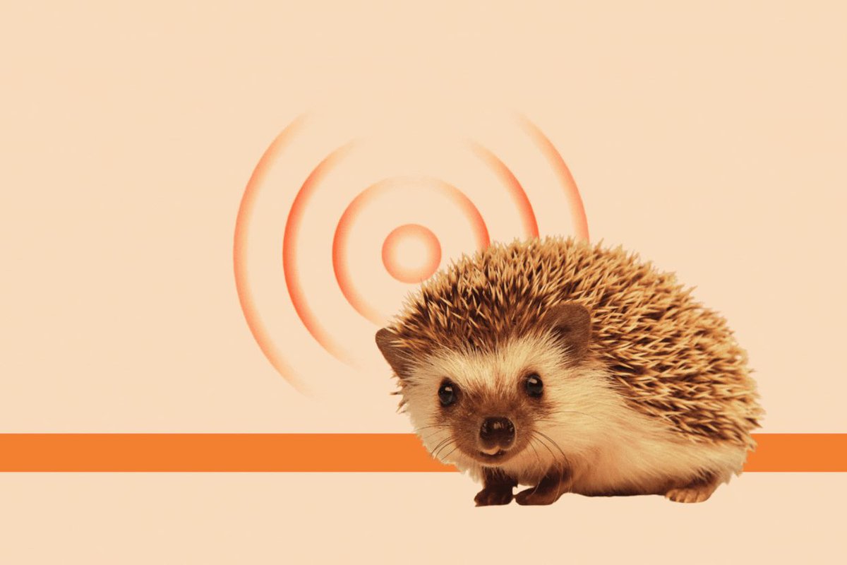 Tom Holland tweet media