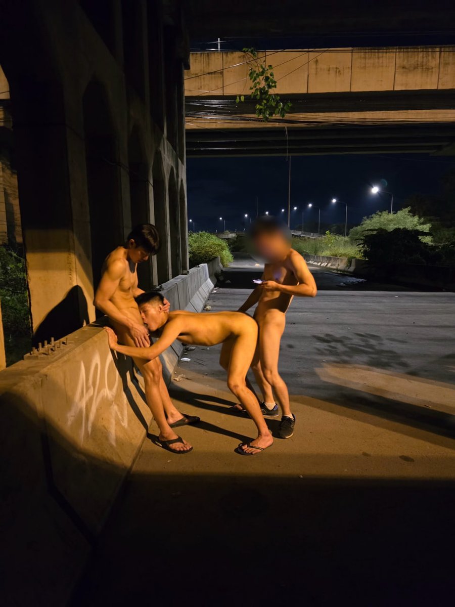 子飞鱼 tweet media