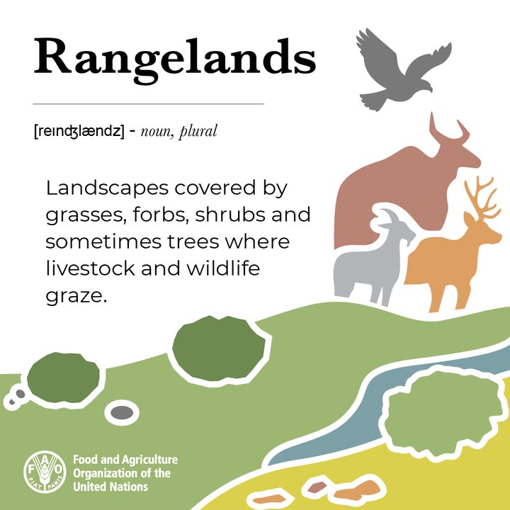 Food and Agriculture Organization tweet media