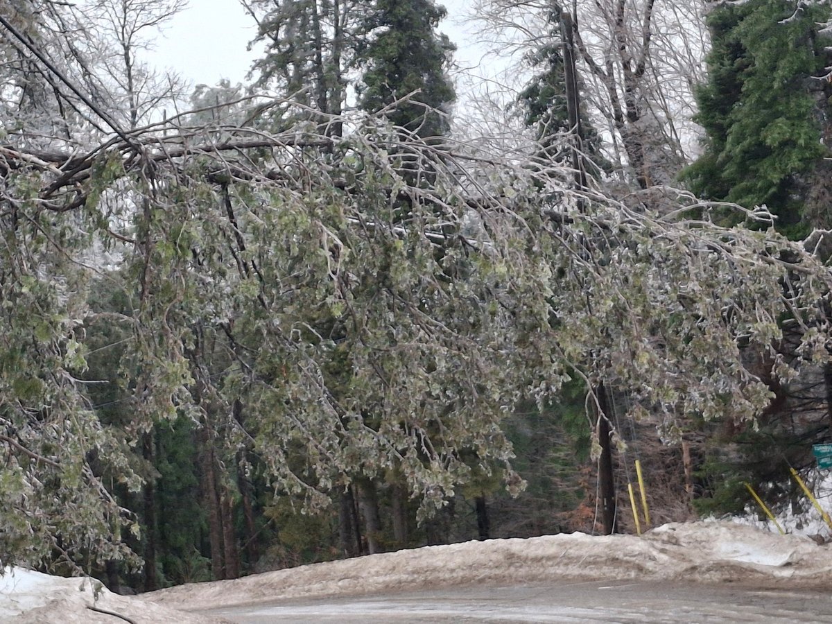 KMacTWN's tweet photo. Hydro wires are down and trees bending south of Bancroft, On. (Limerick) Not surprisingly power is out as of 9am. Courtesy of Mayor K. Carson. 
 #icestorm #Onstorm https://t.co/5o1TtcSgFx