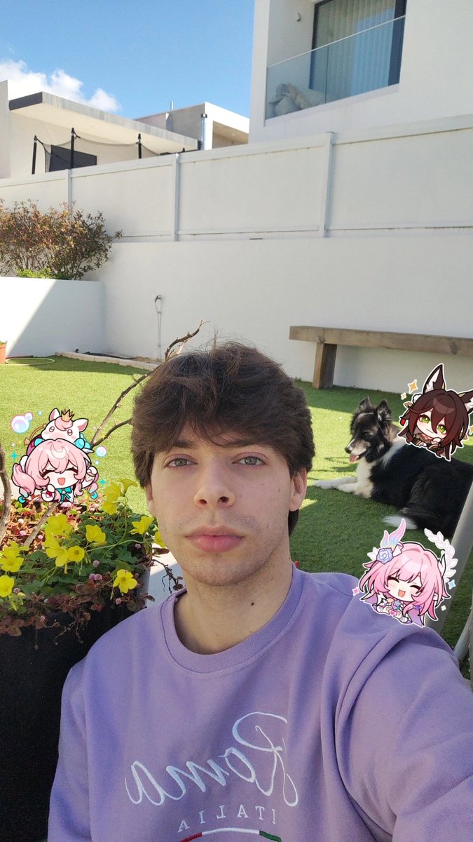 Daniel of no Return tweet media