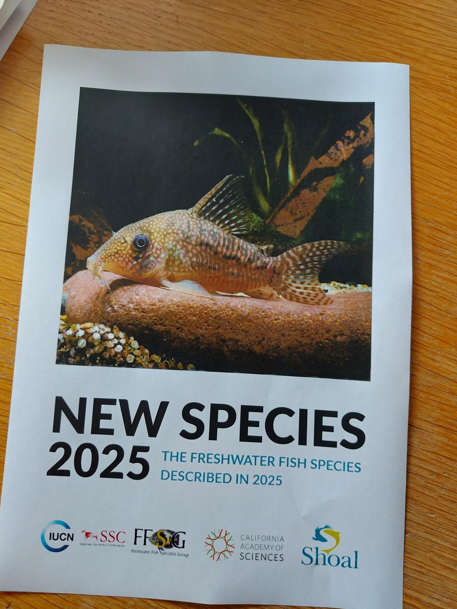 OATA Ltd tweet media