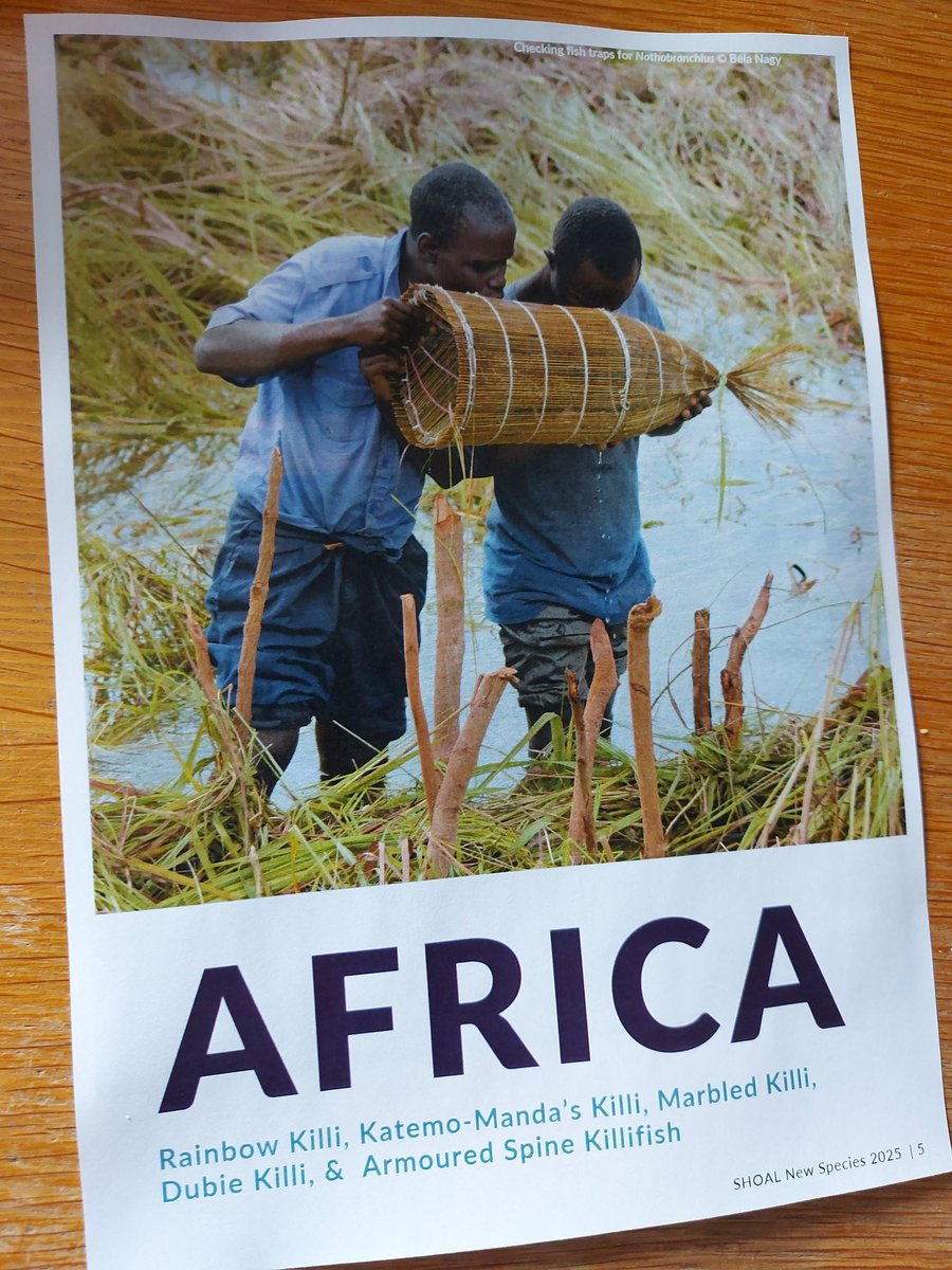 OATA Ltd tweet media