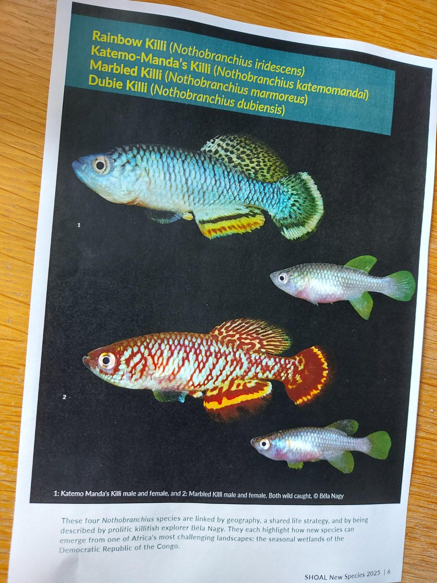 OATA Ltd tweet media