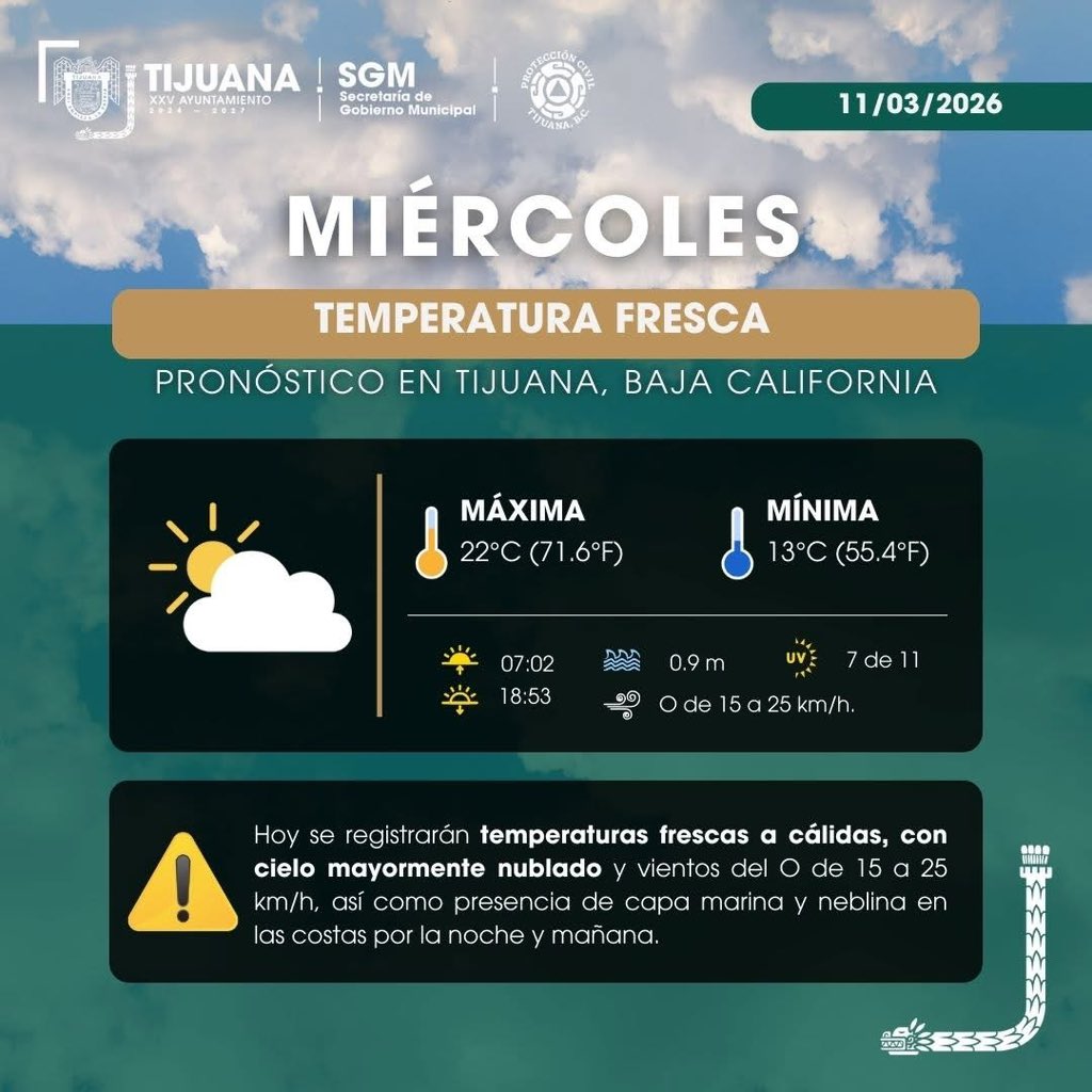 Tijuana Local tweet media