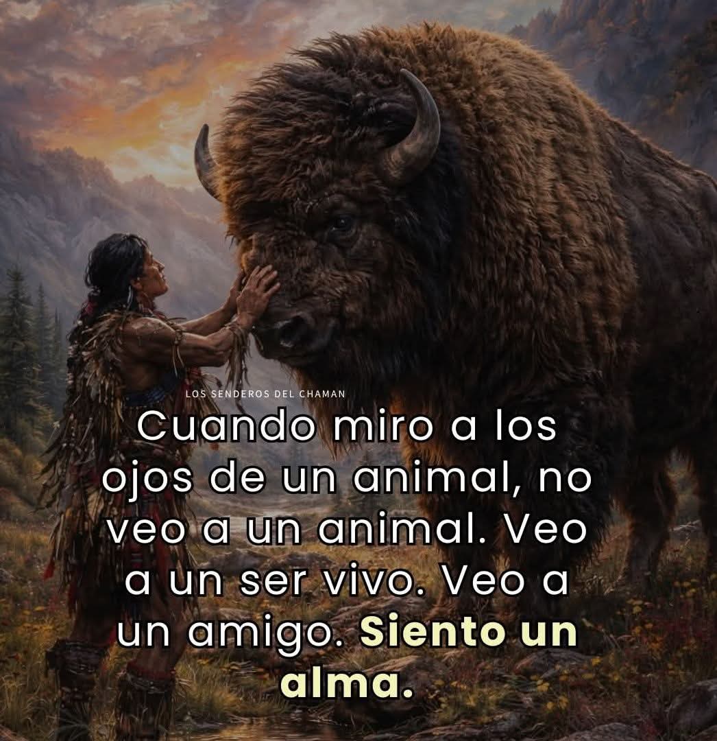 Por eso los amo y respeto!
❤️